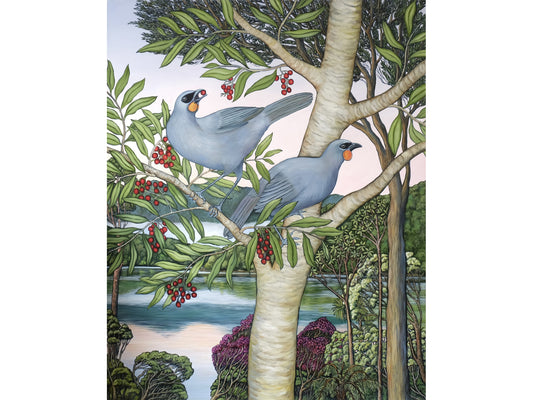 Kōkako feasting in the Upper Harbour