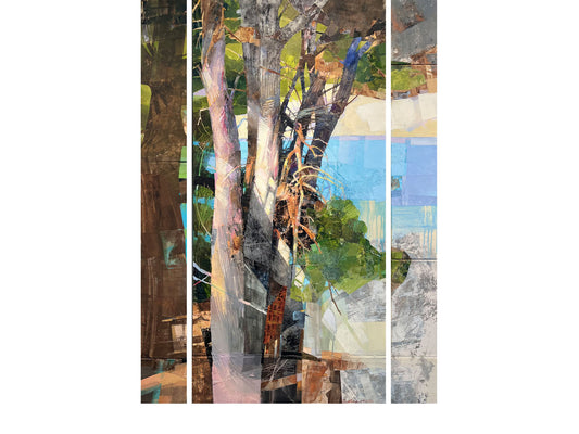 Pine Trees in Diamond Harbour