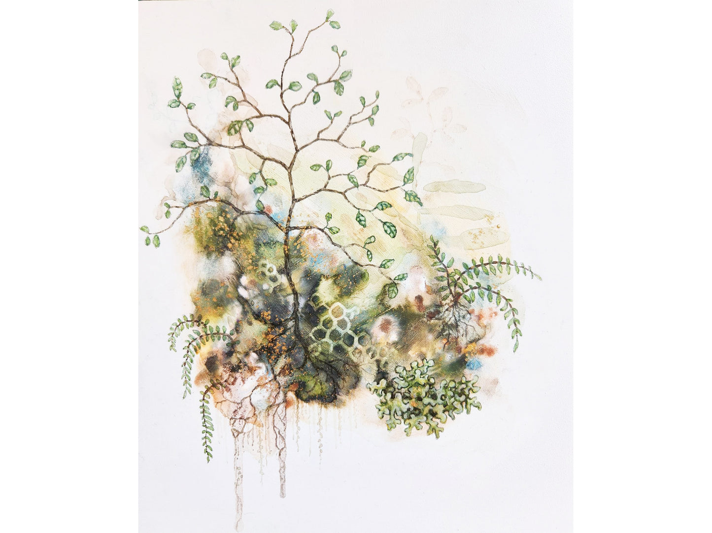 Putaputāwētā  ecosystem