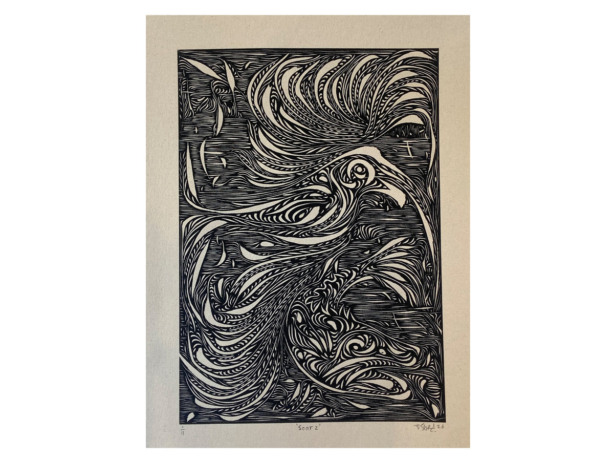 Soar 2