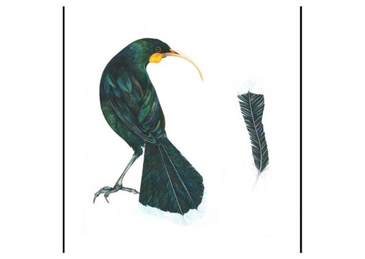 THE PRICE OF A FEATHER ( Female)
Helen Taylor
Limited edition of 25, Giclée print
Frame size 65 x 77cm
$580 5