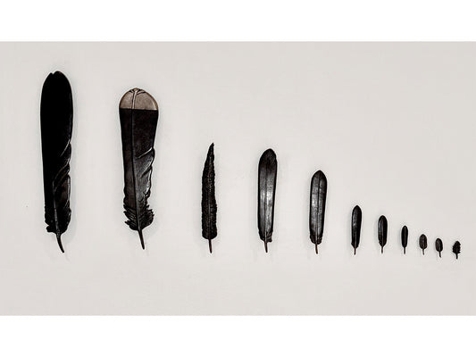 The Lost Ones: Songbirds