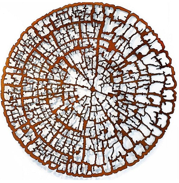 Tree Ring Study Large