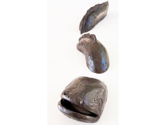 Tuna Kawharuwharu - Longfin Eel