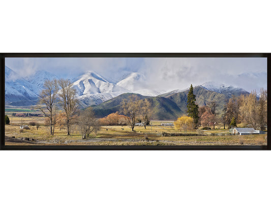 Winter's Arrival Framed Canvas