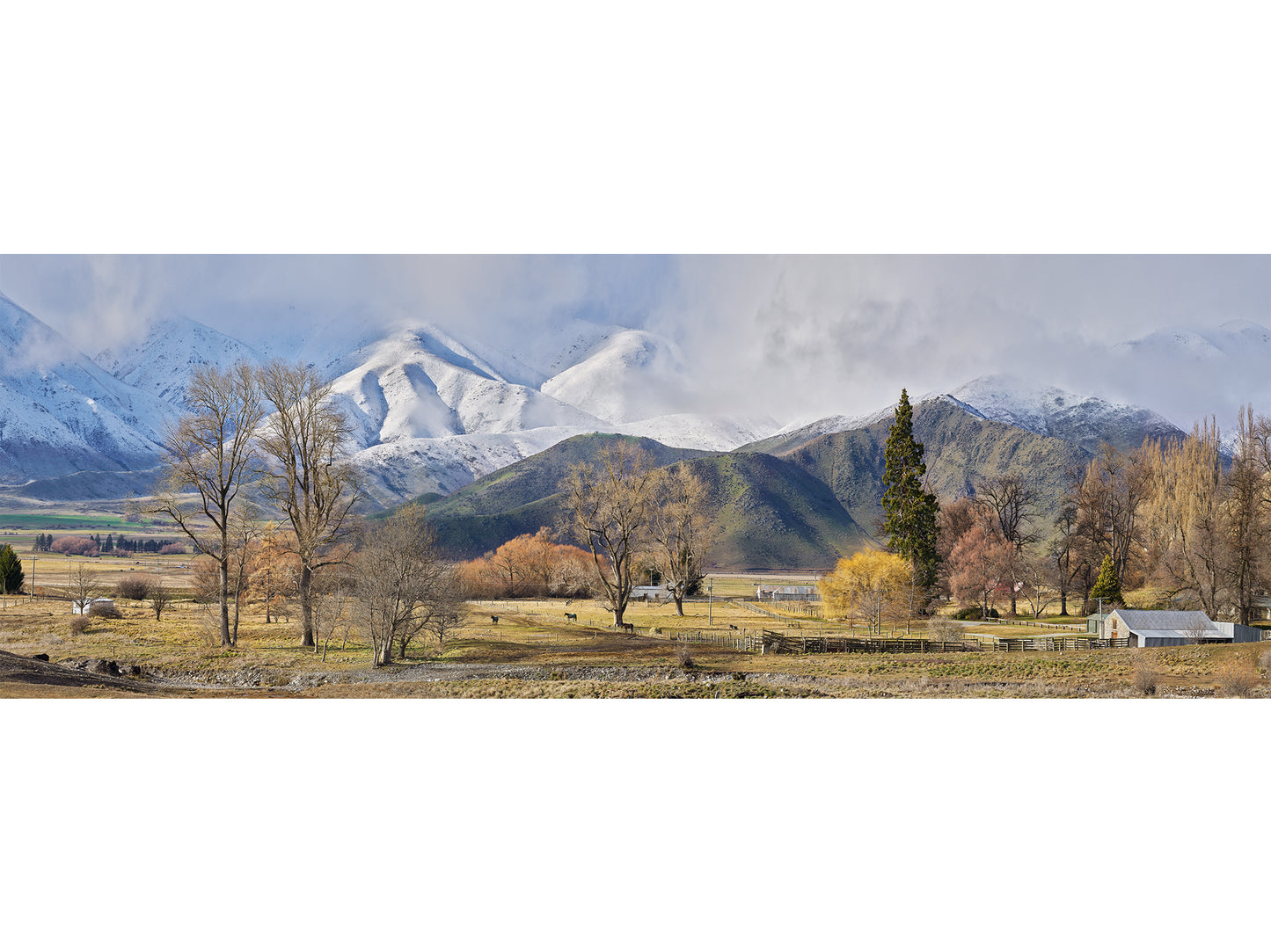 Winter's Arrival paper print