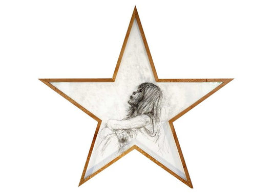 WISHING ON A STAR
Lisa Grennell
Screen print with reverse hand painting
1300mm across
$4,14 2