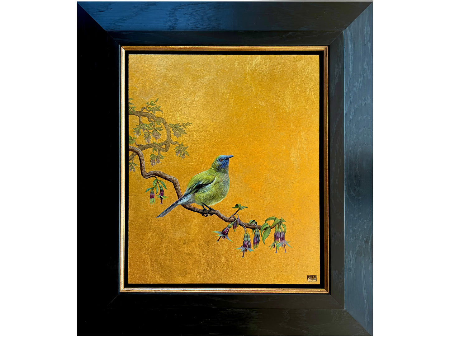 Bellbird in the Tree Fuchsia