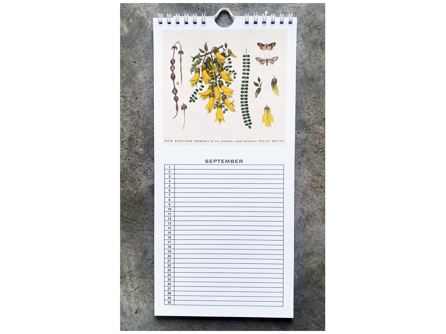 Birthday calendar
