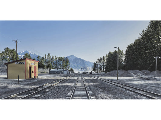 Cass Tracks - Small