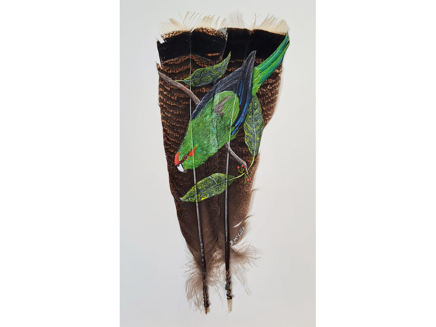 Kakariki - Red Crowned Parakeet