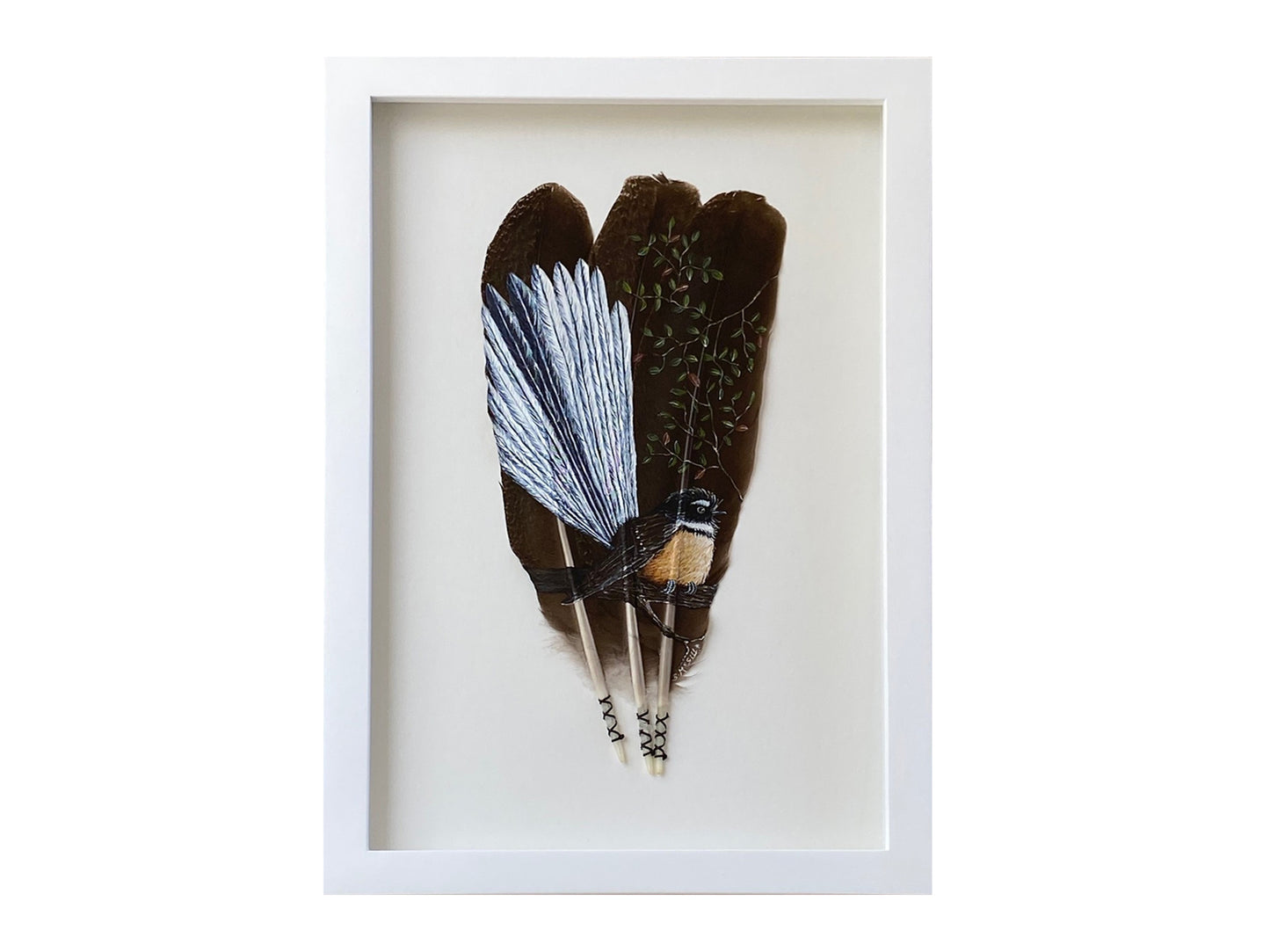 Fantail / Pīwakawaka