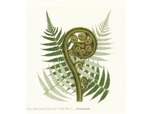 NZ Fern Frond Print