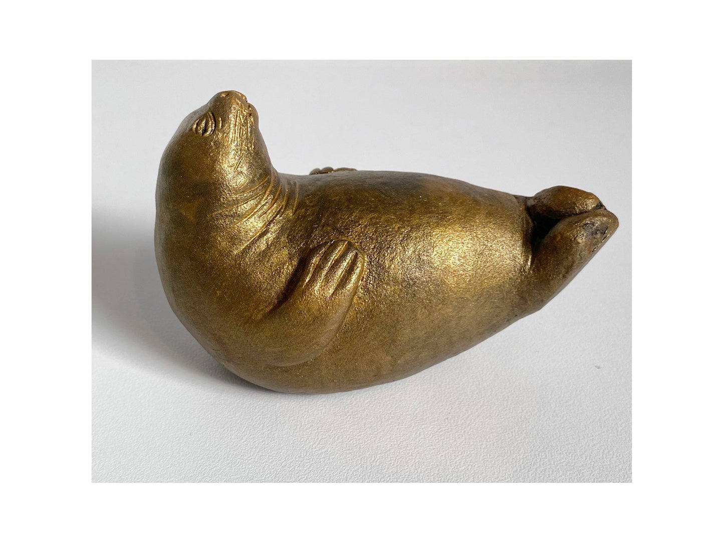 Golden Baby Seal