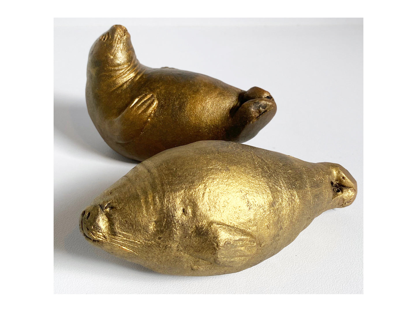 Golden Baby Seal