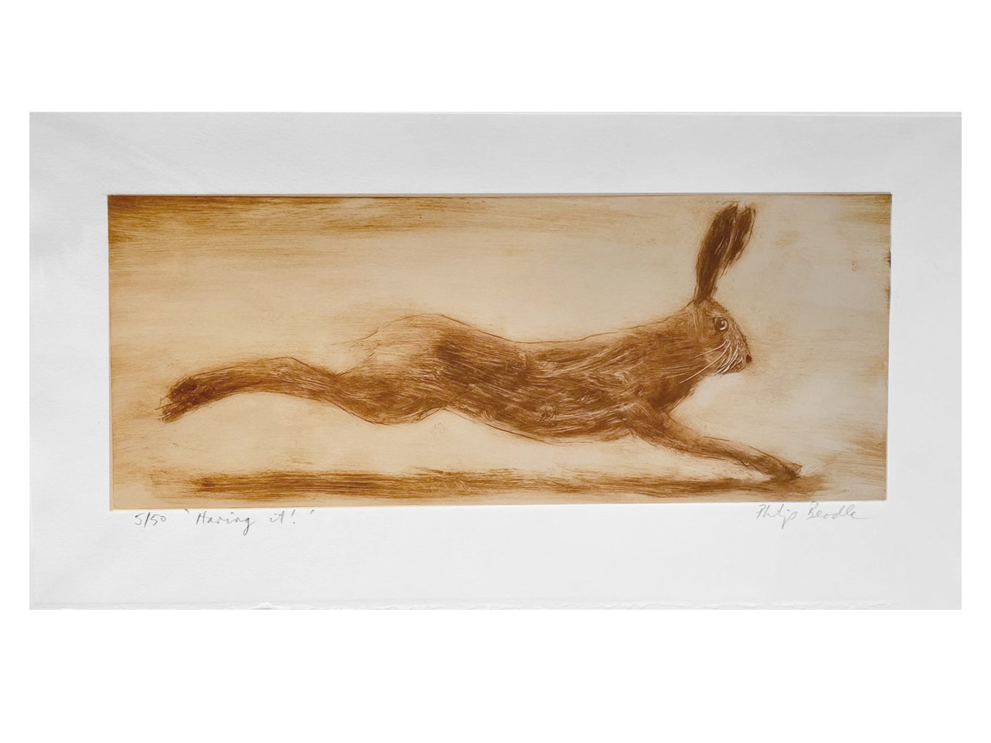 Haring it!