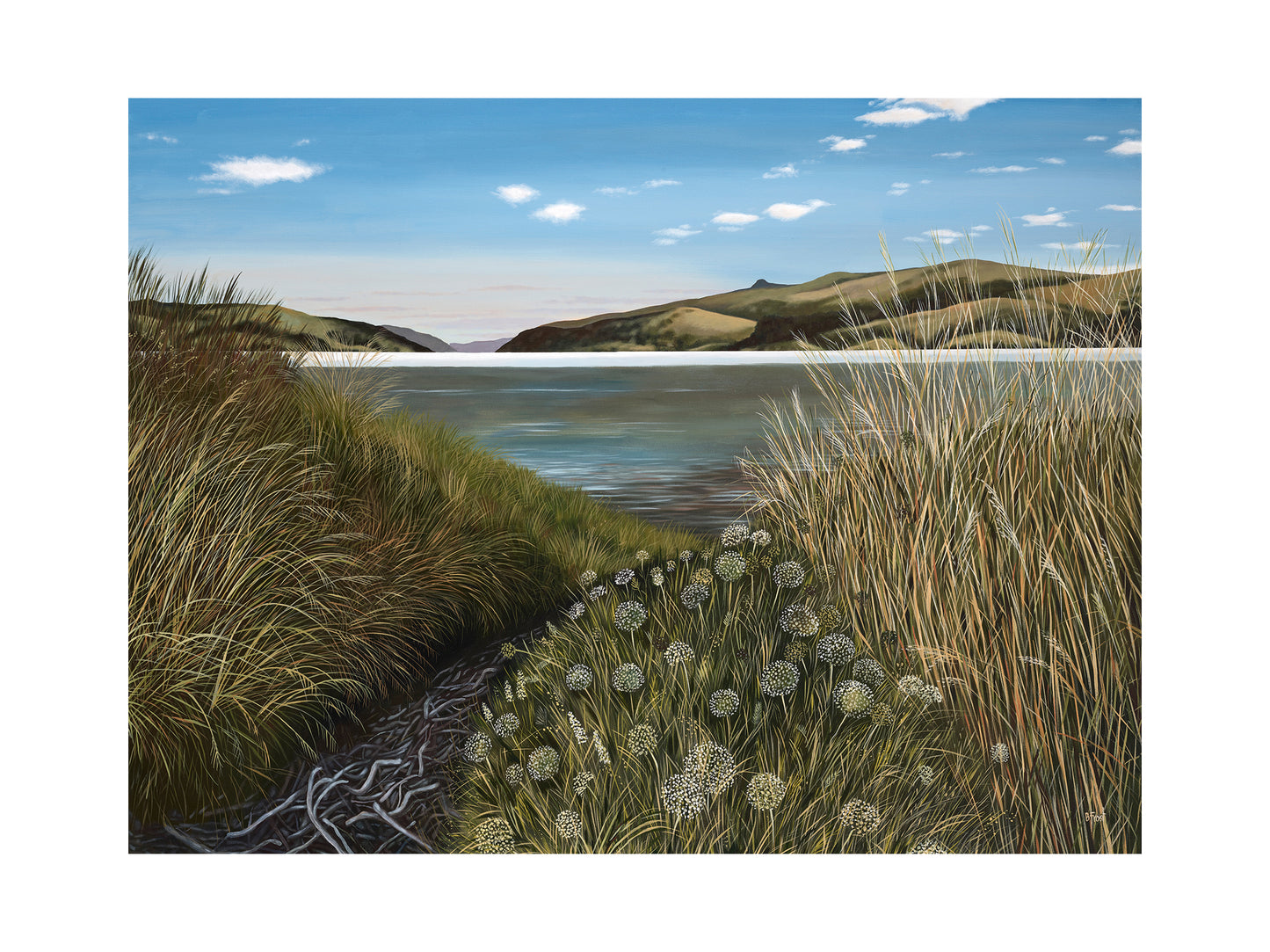 Head of the Bay, Looking South