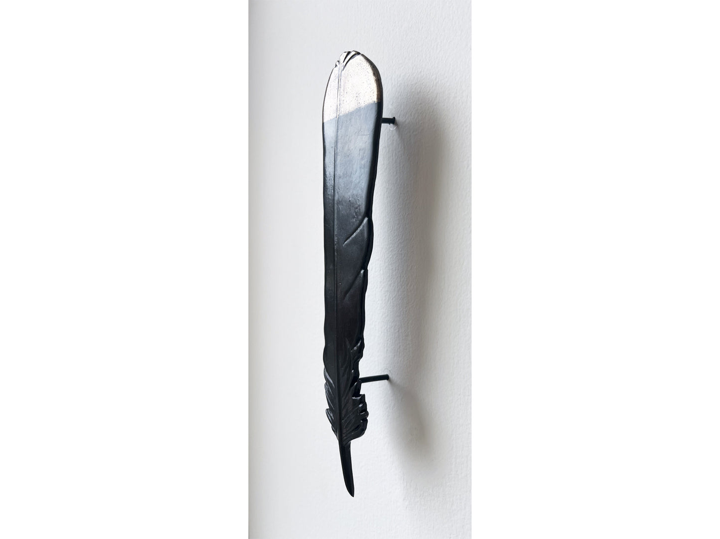 Huia Feather
