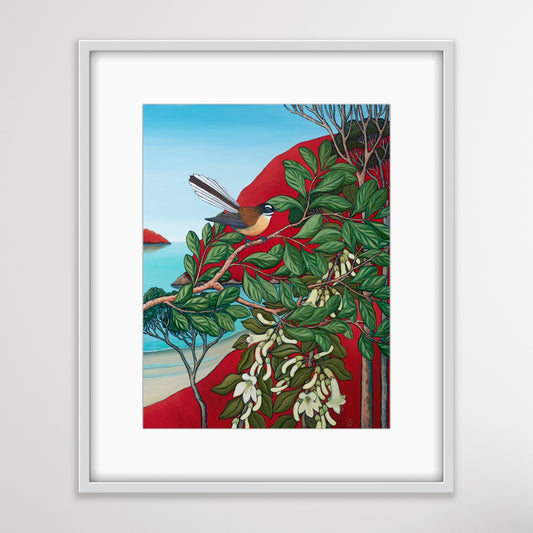 Feisty Fantail (framed print)