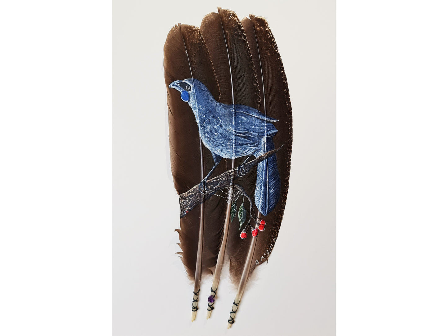 Kokako