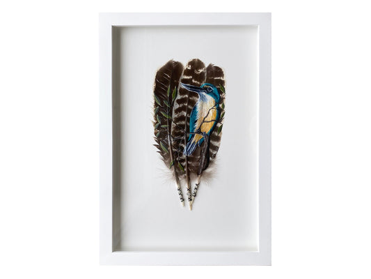 Kotare - King Fisher