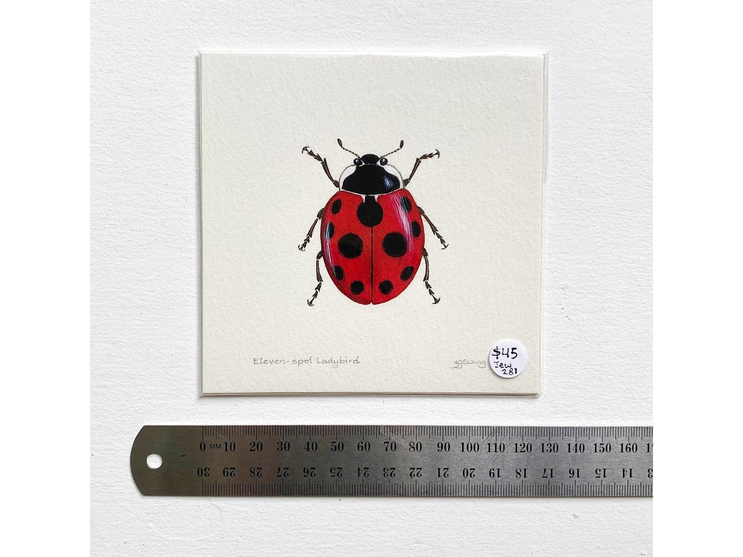 Ladybird Small Print