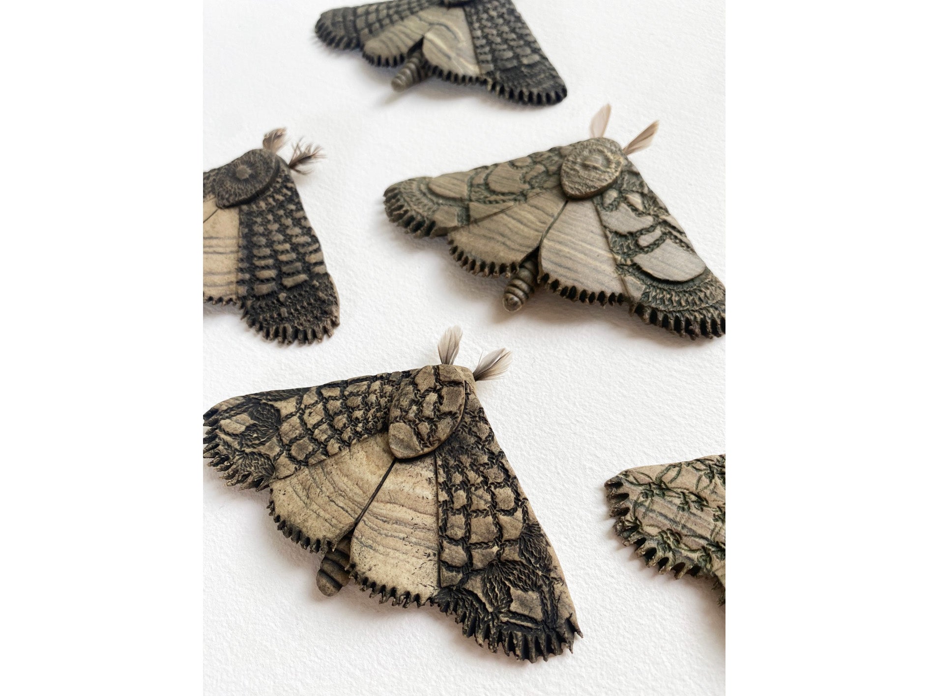 Moth – Little River Gallery