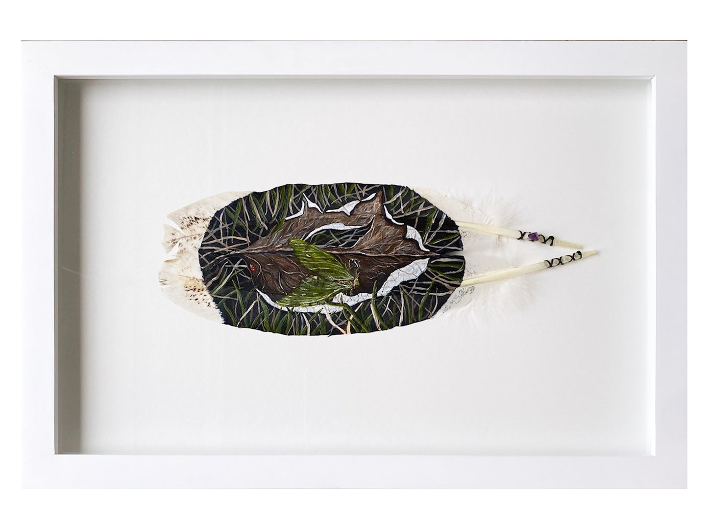Puriri Moth