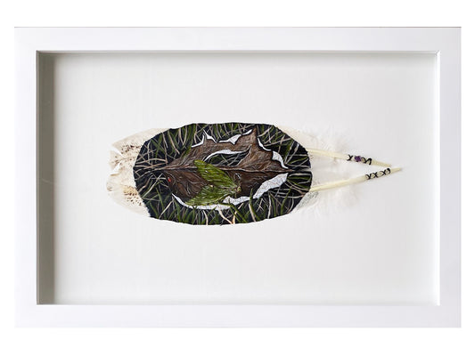 Puriri Moth