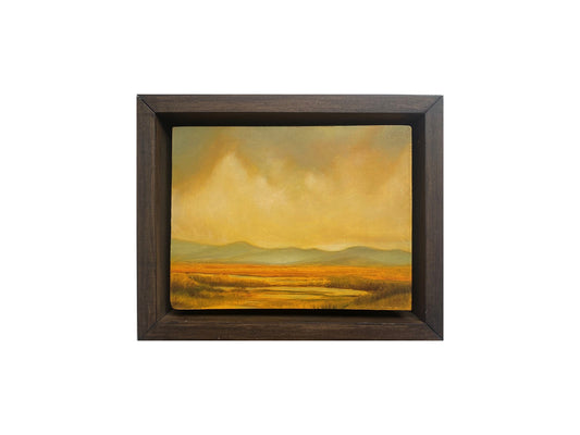 Ochre Plains I