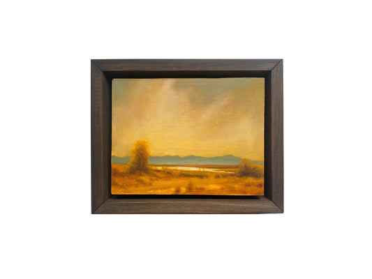 Ochre Plains III
