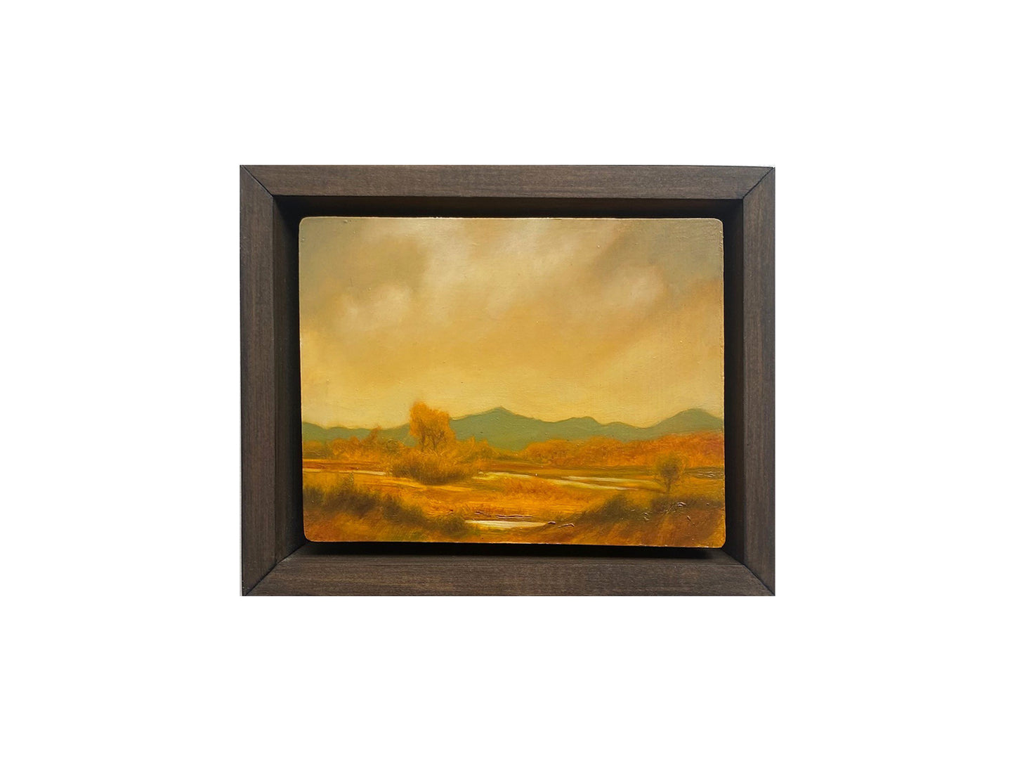 Ochre Plains II
