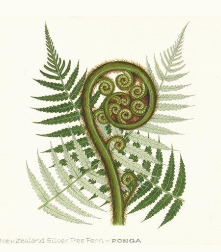 Tree Fern Frond Print