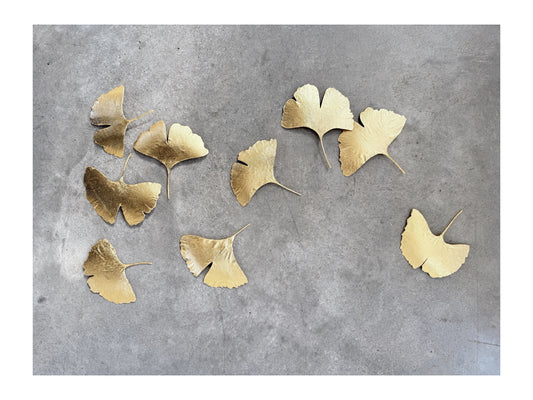 Wall Jewellery  - Ginkgo