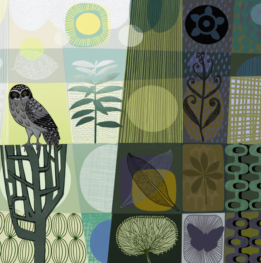 Ruru Sanctuary - Unframed