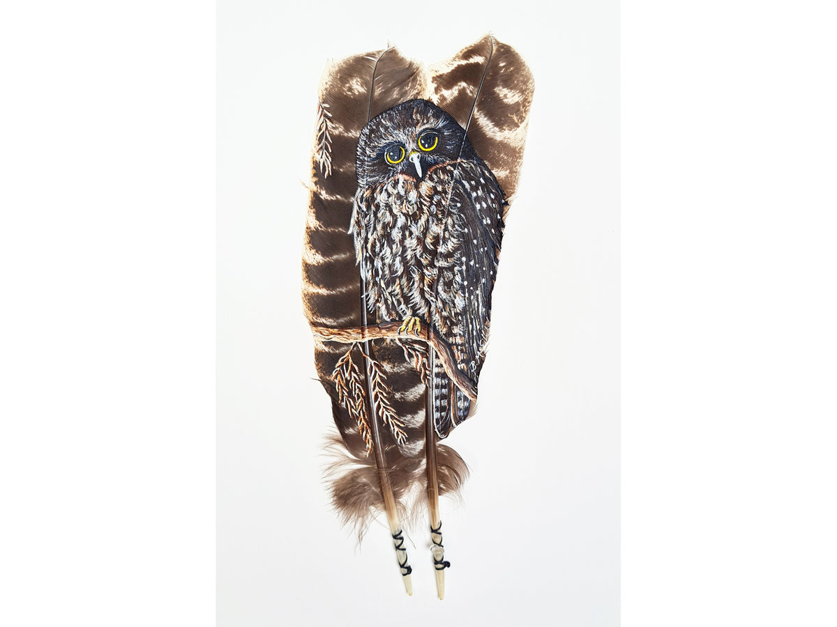 Morepork / Ruru – Little River Gallery