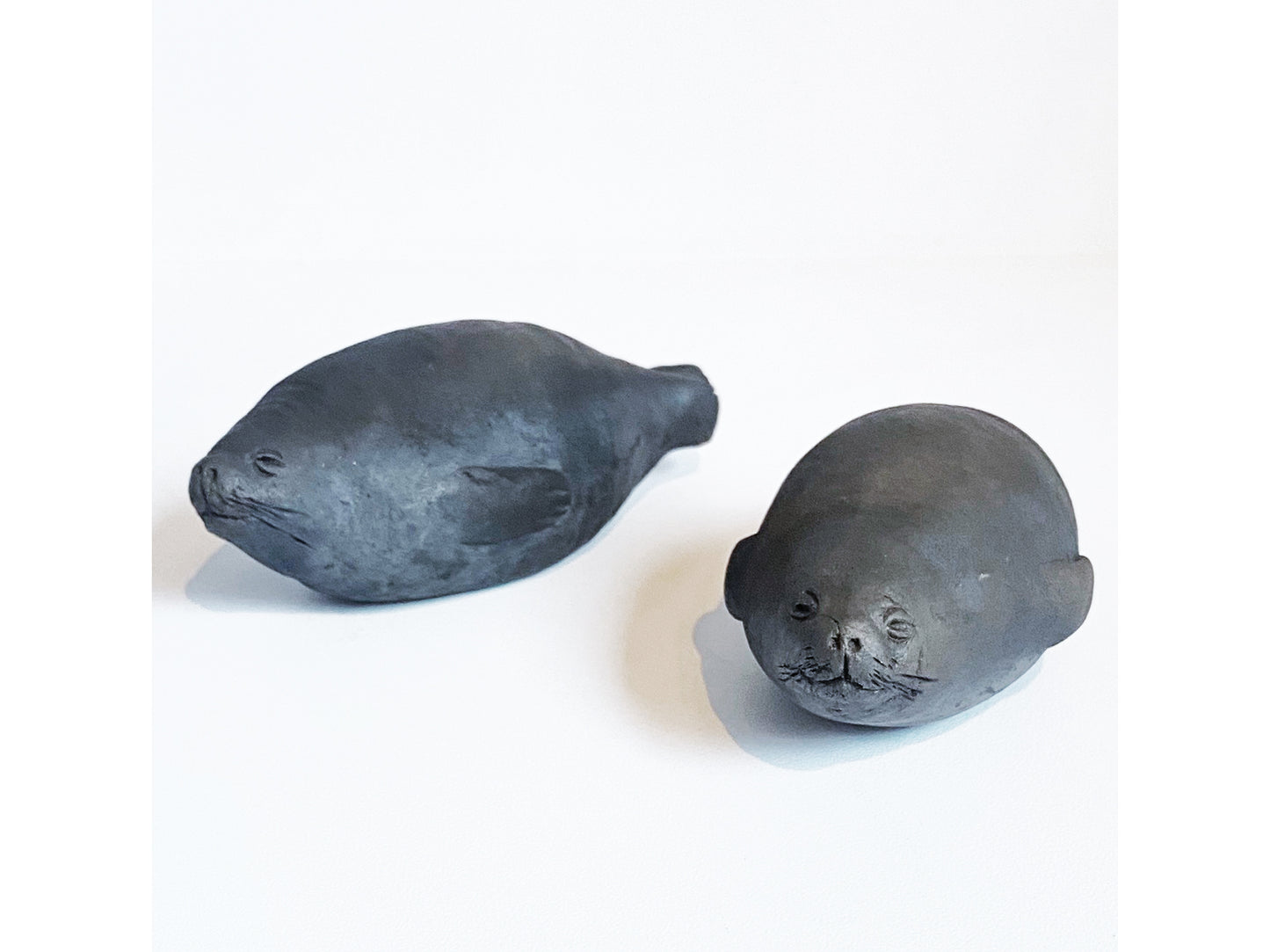 Baby Seals