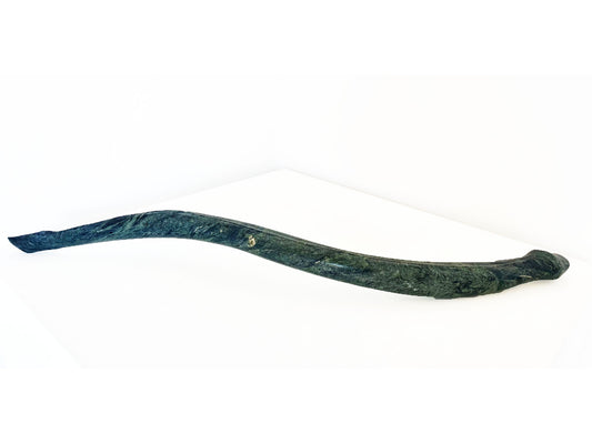 Small Serpentine Eel I