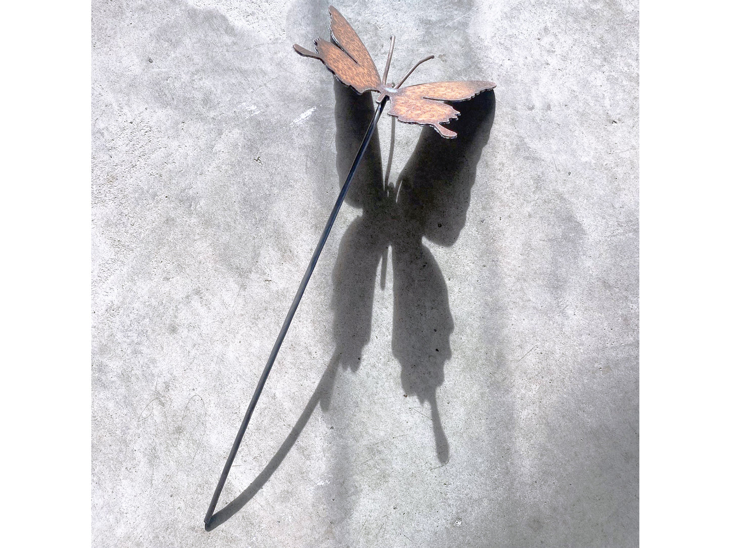 Large Butterfly & spike butterfly