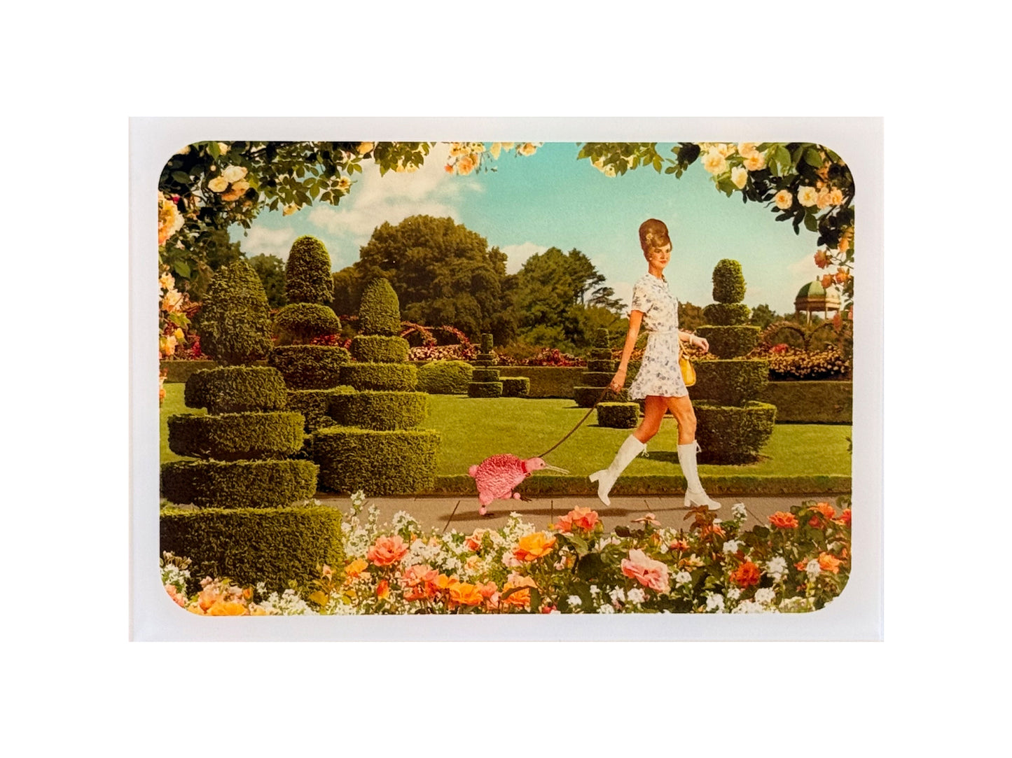 Kiwi Diorama - Spring - Small