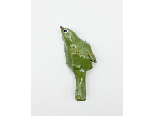 Wall Waxeye